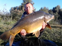 16.350kg